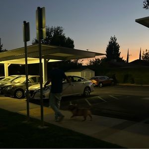 Meet your Posher, Ari